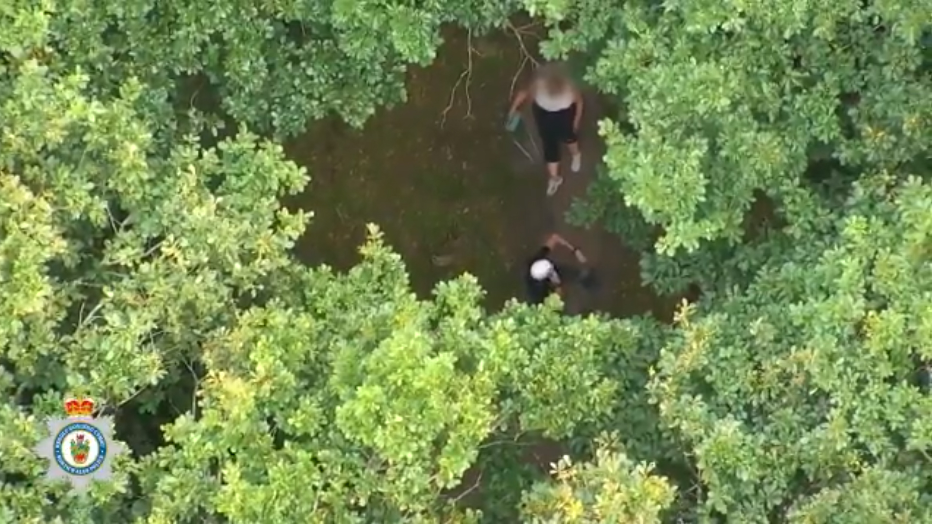 Injured UK woman rescued by drone