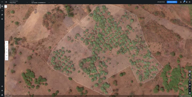 Drones to help map out small scale cashew nut farms in Benin