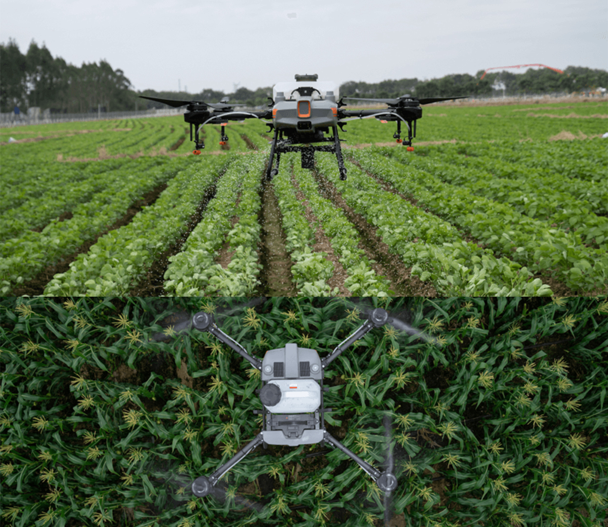 Could machine learning make agricultural drones better?