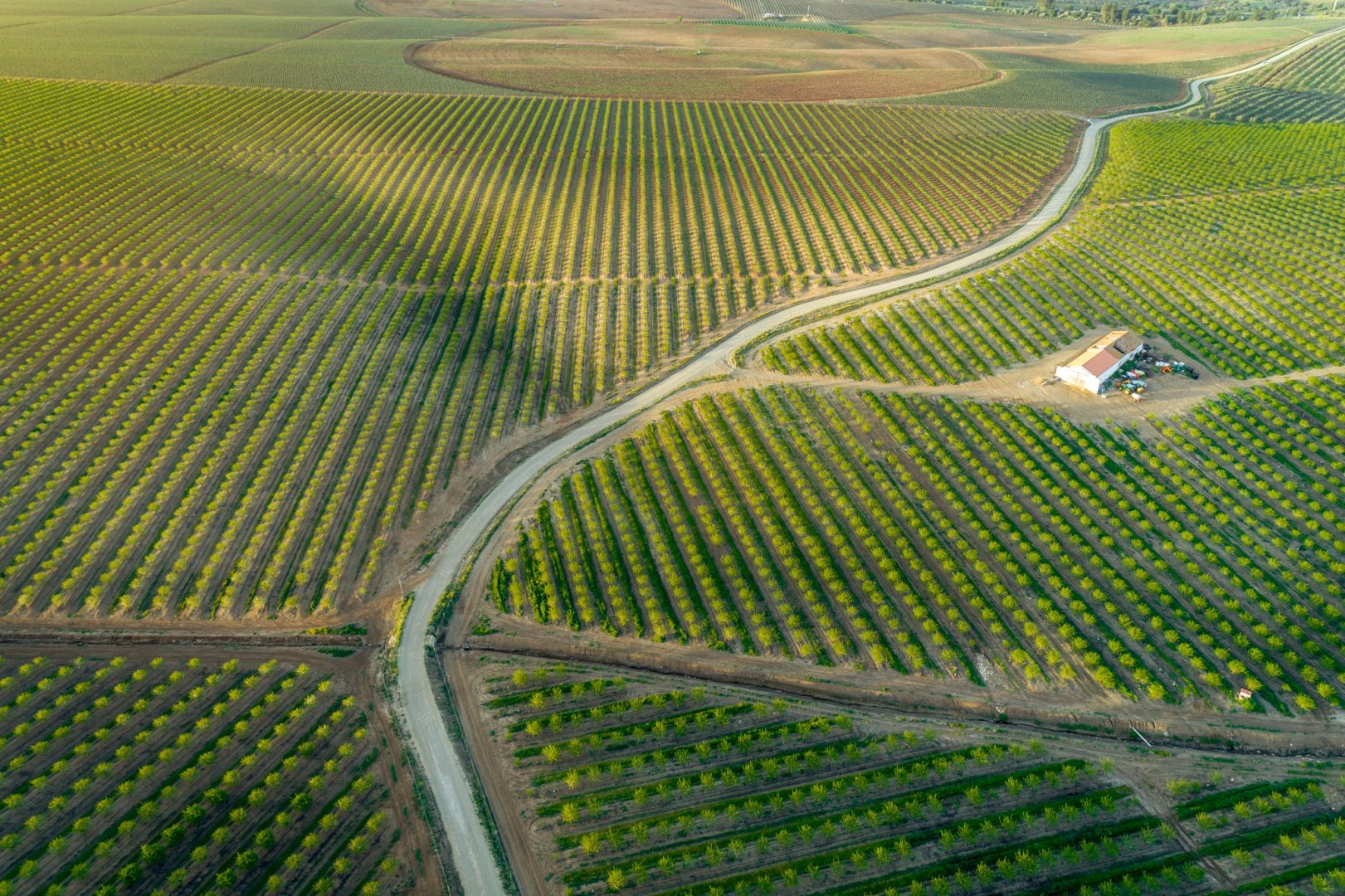 Precision Agric company making waves in South Africa