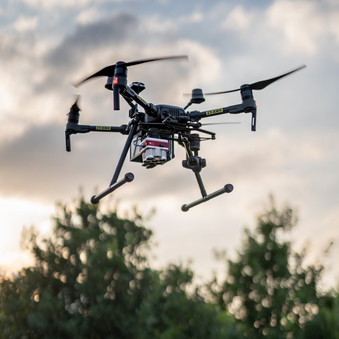 Drones and macadamia production